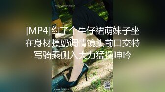 [MP4]约了个牛仔裙萌妹子坐在身材摸奶调情镜头前口交特写骑乘侧入大力猛操呻吟