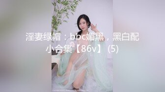 淫妻绿帽：bbc媚黑，黑白配小合集【86v】 (5)