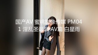 国产AV 蜜桃影像传媒 PM041 淫乱圣诞趴 AV篇 白星雨