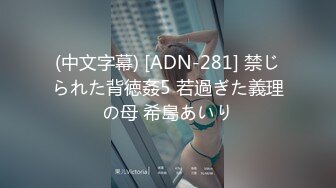 (中文字幕) [ADN-281] 禁じられた背徳姦5 若過ぎた義理の母 希島あいり