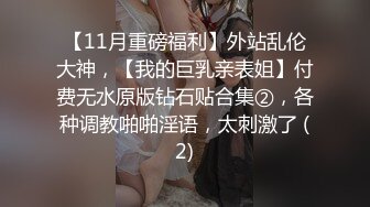 【11月重磅福利】外站乱伦大神，【我的巨乳亲表姐】付费无水原版钻石贴合集②，各种调教啪啪淫语，太刺激了 (2)