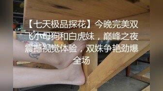 【七天极品探花】今晚完美双飞小母狗和白虎妹，巅峰之夜震撼视觉体验，双姝争艳劲爆全场