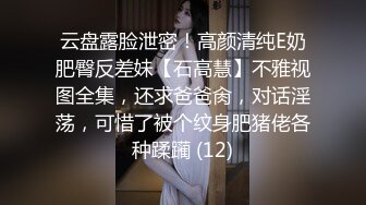 云盘露脸泄密！高颜清纯E奶肥臀反差妹【石高慧】不雅视图全集，还求爸爸肏，对话淫荡，可惜了被个纹身肥猪佬各种蹂躏 (12)