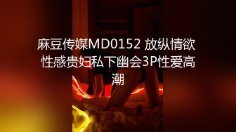 麻豆传媒MD0152 放纵情欲 性感贵妇私下幽会3P性爱高潮