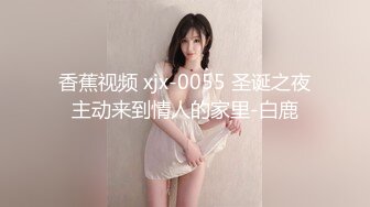 香蕉视频 xjx-0055 圣诞之夜主动来到情人的家里-白鹿