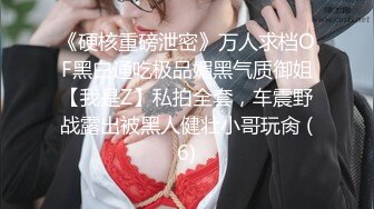 《硬核重磅泄密》万人求档OF黑白通吃极品媚黑气质御姐【我是Z】私拍全套，车震野战露出被黑人健壮小哥玩肏 (6)