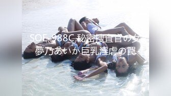 SOE-988C 秘密捜査官の女夢乃あいか巨乳淫虐の罠