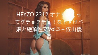 HEYZO 2312 オナりまくってグチョグチョ！なドすけべ娘と絶頂性交Vol.3 – 佐山優香