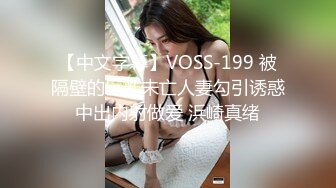 【中文字幕】VOSS-199 被隔壁的巨乳未亡人妻勾引诱惑中出内射做爱 浜崎真绪