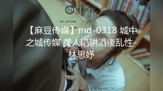 【麻豆传媒】md-0318 城中之城传媒 美人陷阱酒後乱性-林思妤