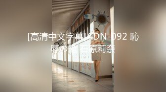 [高清中文字幕]ADN-092 恥辱の館 石原莉奈