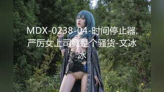 MDX-0238-04-时间停止器.严厉女上司竟是个骚货-文冰冰