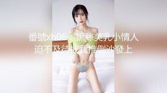 番號xh06：黑絲美乳小情人迫不及待把我推倒沙發上