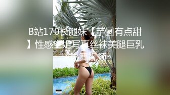 B站170长腿妹【芋圆有点甜】性感空姐写真丝袜美腿巨乳+热舞视频