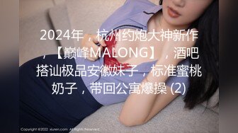 2024年，杭州约炮大神新作，【巅峰MALONG】，酒吧搭讪极品安徽妹子，标准蜜桃奶子，带回公寓爆操 (2)