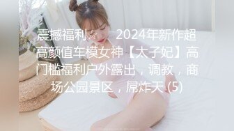 震撼福利☆☀️2024年新作超高颜值车模女神【太子妃】高门槛福利户外露出，调教，商场公园景区，屌炸天 (5)