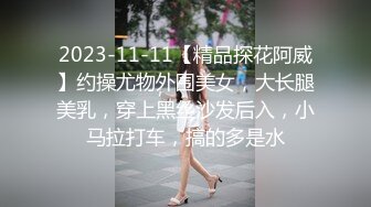 2023-11-11【精品探花阿威】约操尤物外围美女，大长腿美乳，穿上黑丝沙发后入，小马拉打车，搞的多是水