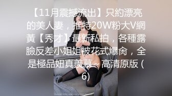 【11月震撼流出】只約漂亮的美人妻，推特20W粉大V網黃【秀才】最新私拍，各種露臉反差小姐姐被花式爆肏，全是極品妞真羨慕～高清原版 (6)