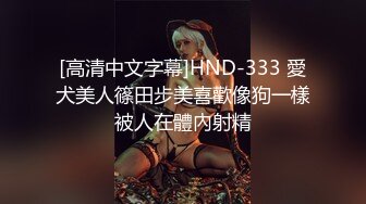 [高清中文字幕]HND-333 愛犬美人篠田步美喜歡像狗一樣被人在體內射精