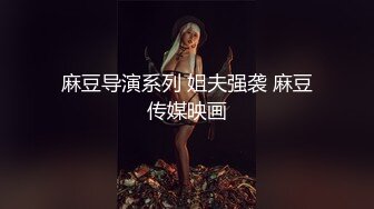 麻豆导演系列 姐夫强袭 麻豆传媒映画