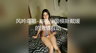 风吟鸟唱-与极品国模斯戴媛的激情互动