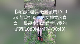 【新速片遞】 绝对领域 LY-039 与曾经暗恋的女神共度春宵❤️极品少妇离婚后与我的邂逅[1080M/MP4/30:48]